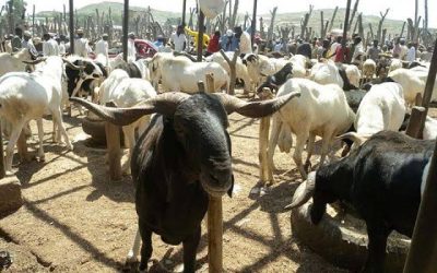 FG Declares June 6, 9 as Public Holidays for Eid-ul-Adha Celebrations
