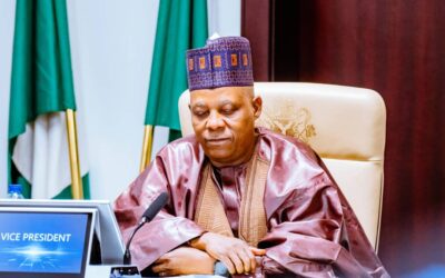 Shettima, govs in NEC meeting